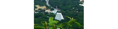 075. திருவேங்கடம்